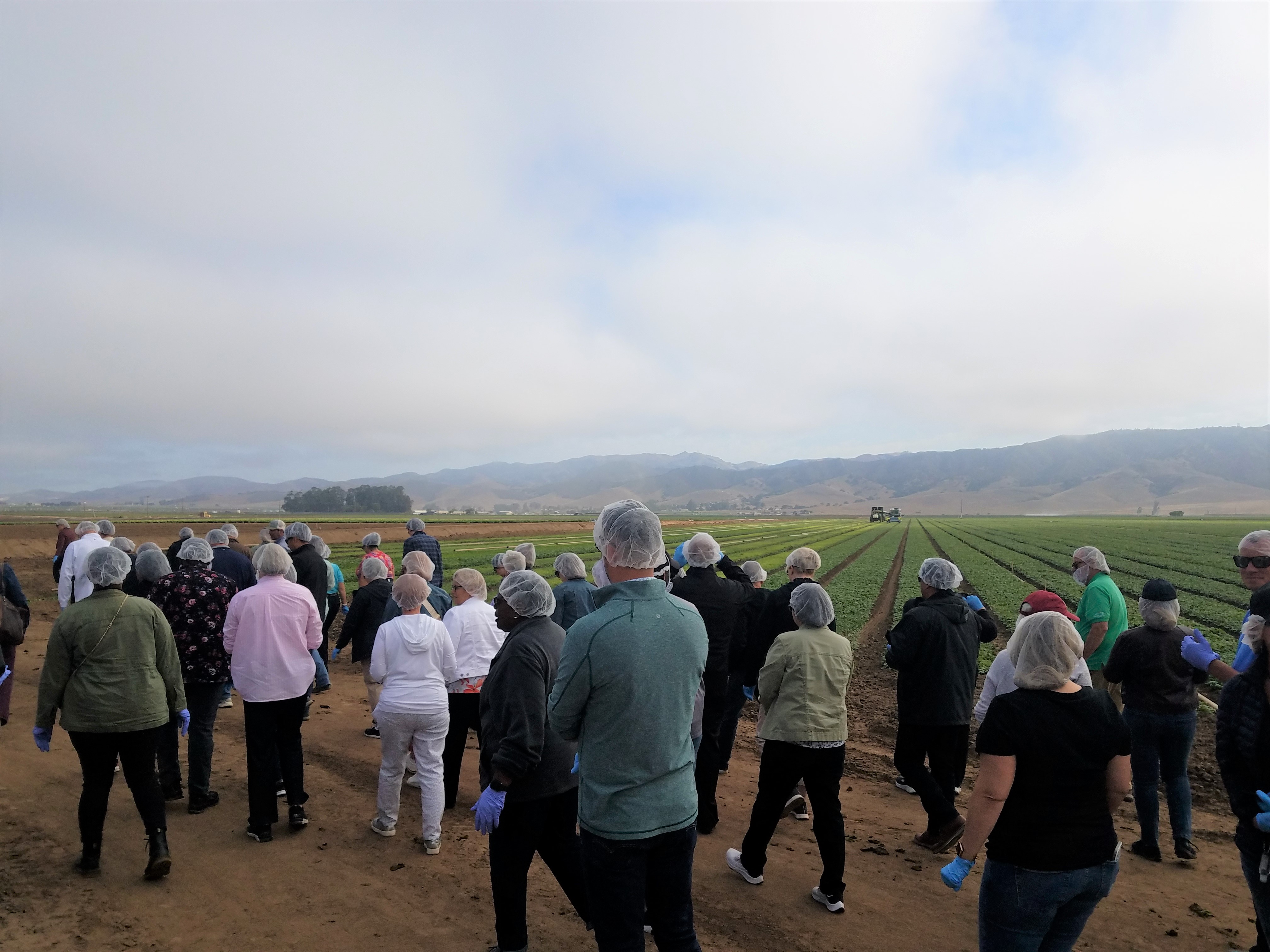 School professionals touring a produce field