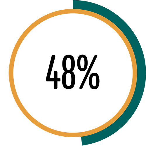 Circle with border colored to represent 48%.