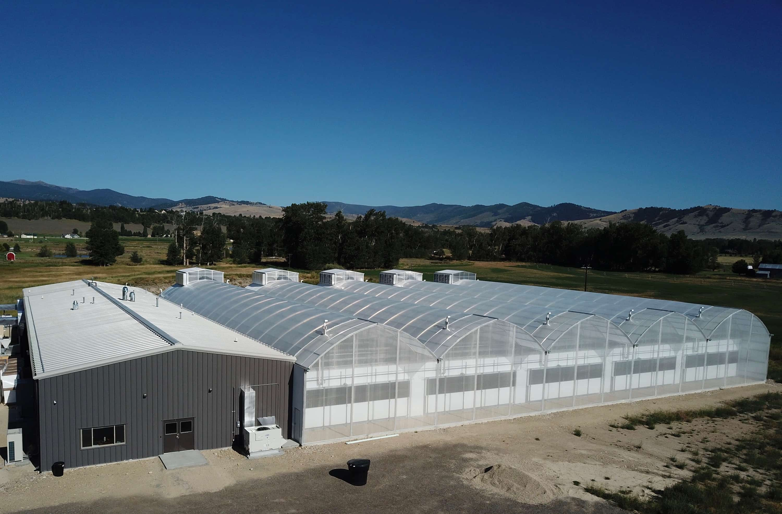 Aerial view of multiple greenhouses with mountains in the background 