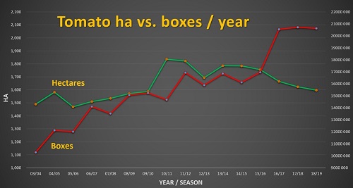 Line chart of Tomato Hectares vs. boxes 