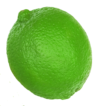 A single green lime